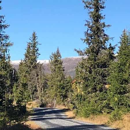 Sykkelhytte Ved Slatten I Synnfjellet Nord Torpa 外观 照片