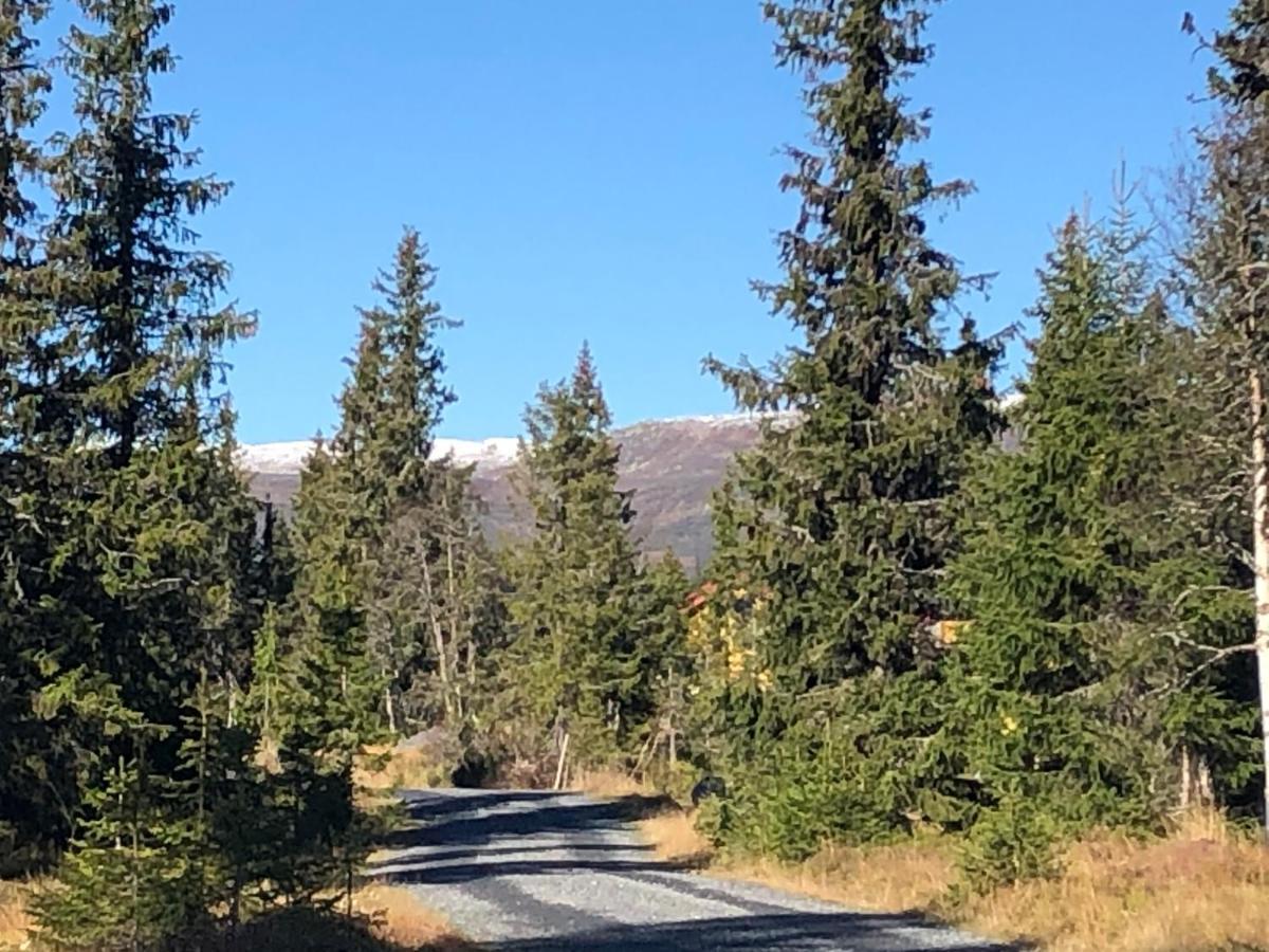 Sykkelhytte Ved Slatten I Synnfjellet Nord Torpa 外观 照片